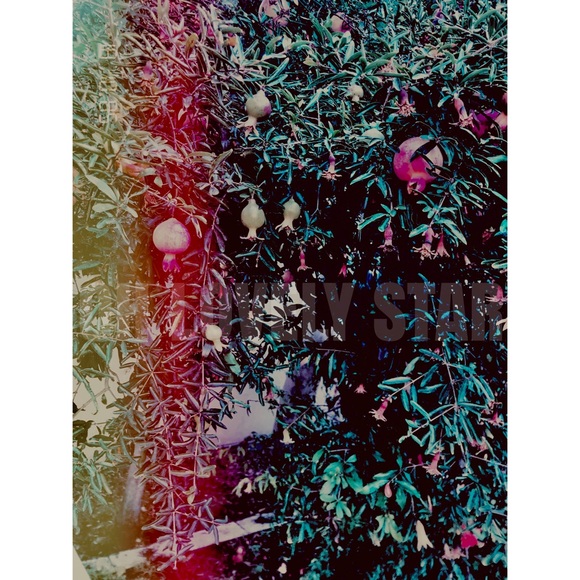 Lovely Star * Photography Art Print Wall Decal - Picture 3 of 5